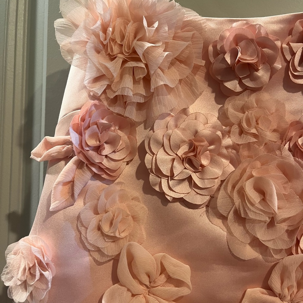 Love Shack Fancy Satin Mensa Mini Dress Size 6 Rose Appliqués - Picture 10 of 11